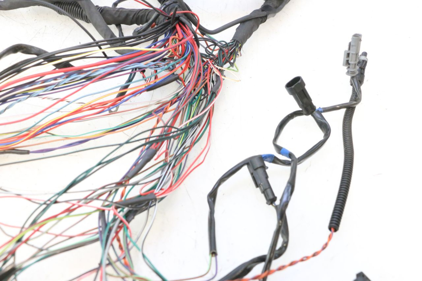 photo de CABLEADO HARLEY DAVIDSON ROAD GLIDE FLTRXSE 1920 (2018 - 2022) - Marcados y referencias originales