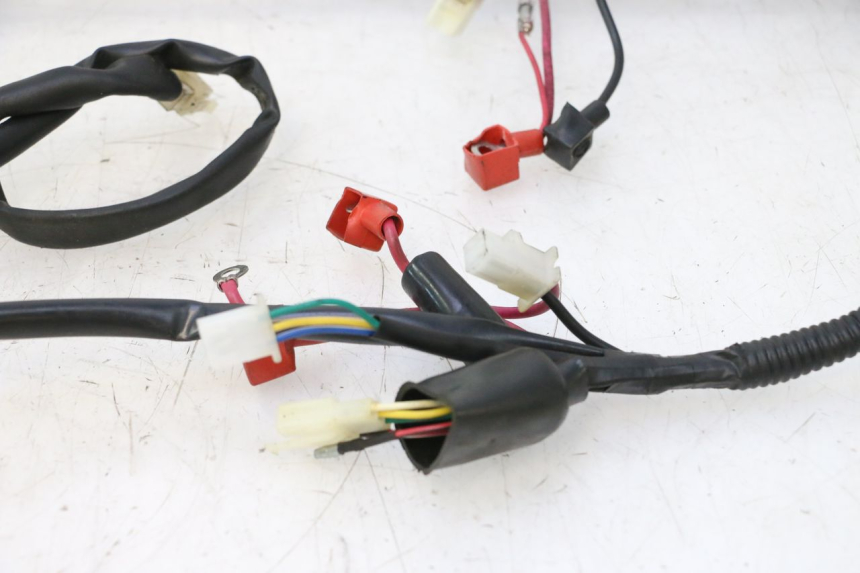 photo de CABLEADO TNT MOTOR ROMA 10' 2T 50 (2011 - 2018) - Características distintivas