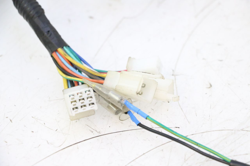 photo de CABLEADO TNT MOTOR ROMA 10' 2T 50 (2011 - 2018) - Primer plano de alta resolución