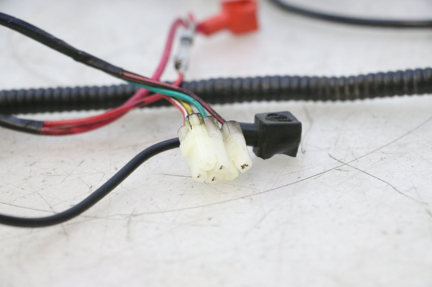 photo de CABLEADO TNT MOTOR ROMA 10' 2T 50 (2011 - 2018) - Zoom estado de uso