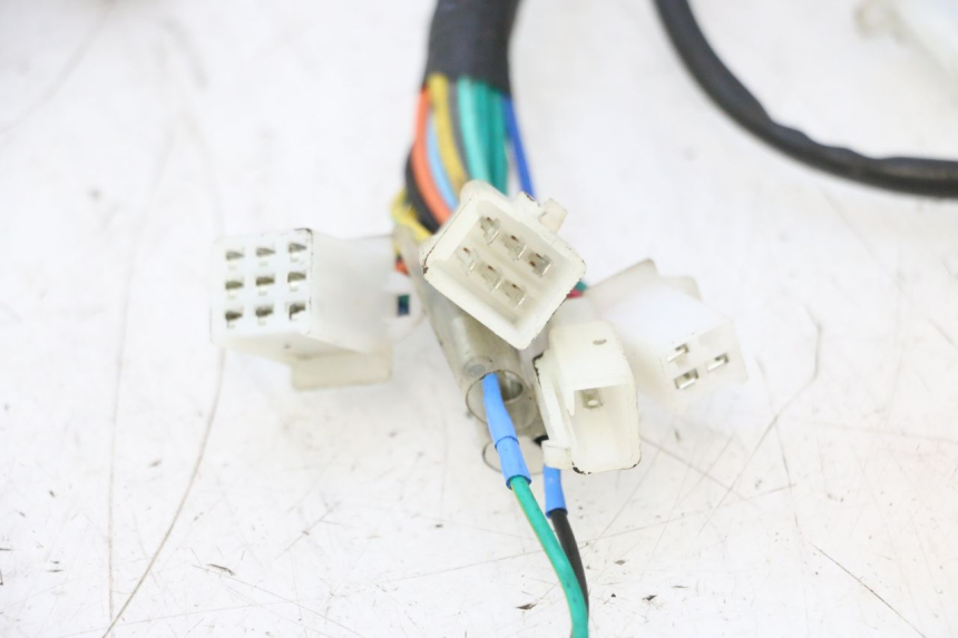 photo de CABLEADO TNT MOTOR ROMA 10' 2T 50 (2011 - 2018) - Primer plano técnico