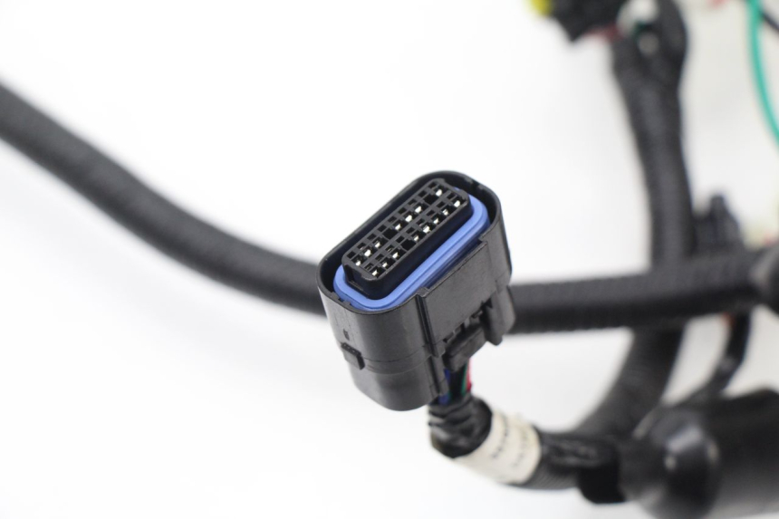 photo de CABLEADO TNT MOTOR ROMA 10' 4T 50 (2007 - 2018) - Otra perspectiva