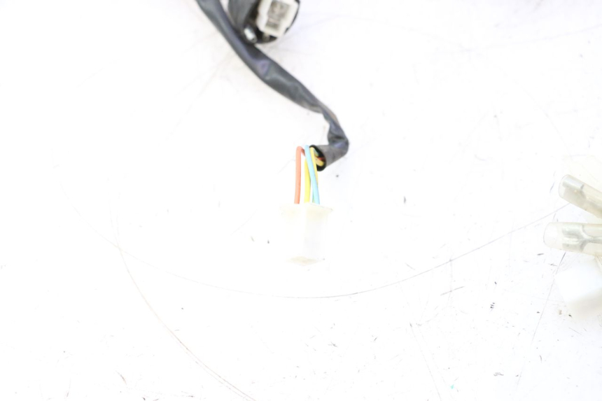 photo de CABLEADO TNT MOTOR ROMA 10' 4T 50 (2007 - 2018) - Otra vista del artículo