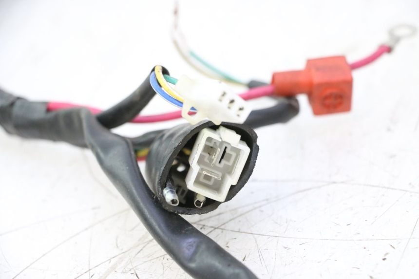 photo de CABLEADO TNT MOTOR ROMA 10' 4T 50 (2007 - 2018) - Características distintivas