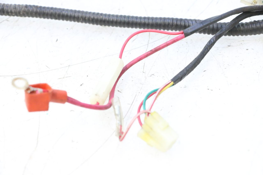 photo de CABLEADO TNT MOTOR ROMA 10' 4T 50 (2007 - 2018) - Vista general del producto