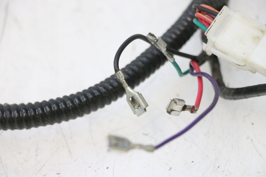 photo de CABLEADO TNT MOTOR ROMA 12' 2T 50 (2007 - 2018) - Características distintivas
