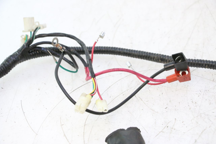 photo de CABLEADO TNT MOTOR ROMA 12' 2T 50 (2007 - 2018) - Otra perspectiva