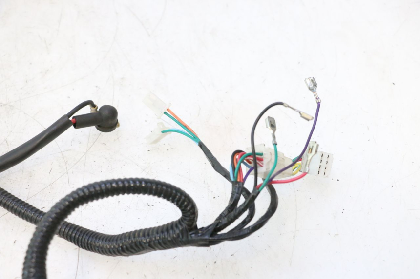 photo de CABLEADO TNT MOTOR ROMA 12' 2T 50 (2007 - 2018) - Primer plano técnico