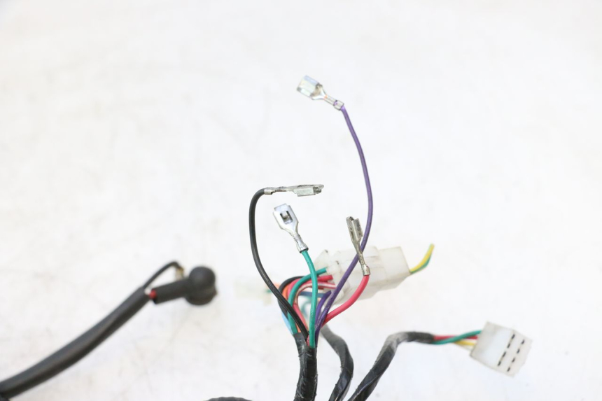 photo de CABLEADO TNT MOTOR ROMA 12' 2T 50 (2007 - 2018) - Vista general del producto