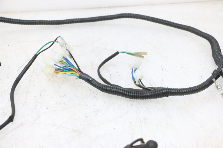 photo de CABLEADO TNT MOTOR ROMA 12' 2T 50 (2007 - 2018) - Marcados y referencias originales