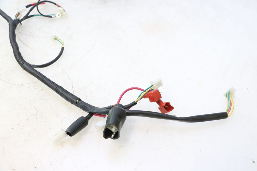 photo de CABLEADO TNT MOTOR ROMA 12' 2T 50 (2007 - 2018) - Detalle de la pieza