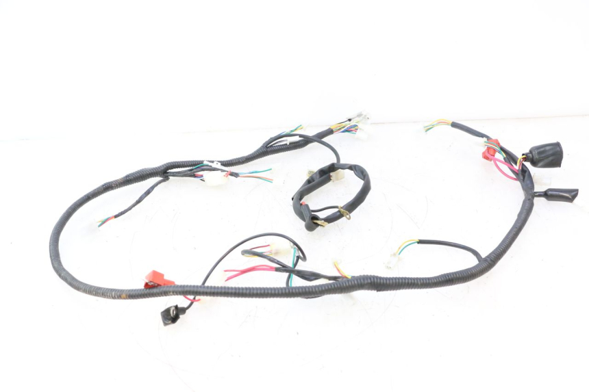 photo de CABLEADO TNT MOTOR ROMA 12' 2T 50 (2007 - 2018) - Primer plano técnico