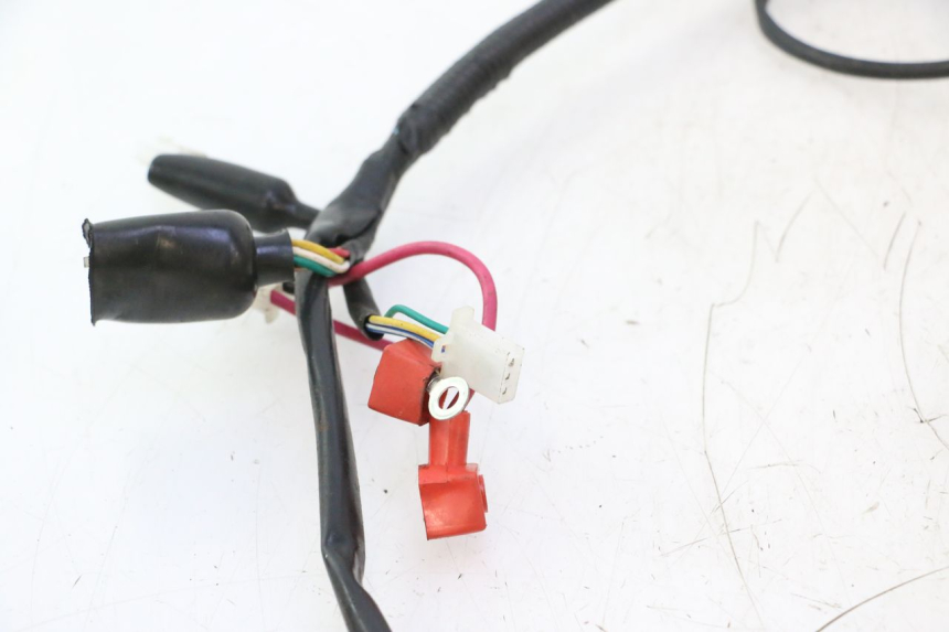 photo de CABLEADO TNT MOTOR ROMA 12' 2T 50 (2007 - 2018) - Recambio usado revisado