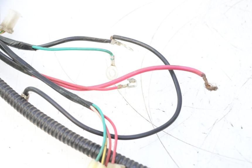 photo de CABLEADO TNT MOTOR ROMA 12' 2T 50 (2007 - 2018) - Detalle de la pieza