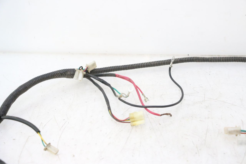 photo de CABLEADO TNT MOTOR ROMA 12' 2T 50 (2007 - 2018) - Características distintivas