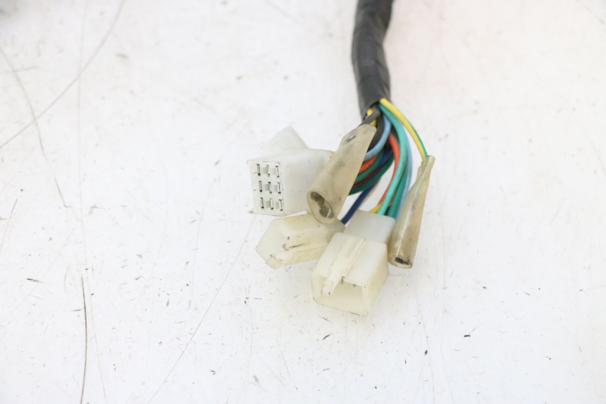 photo de CABLEADO TNT MOTOR ROMA 12' 2T 50 (2007 - 2018) - Primer plano de alta resolución