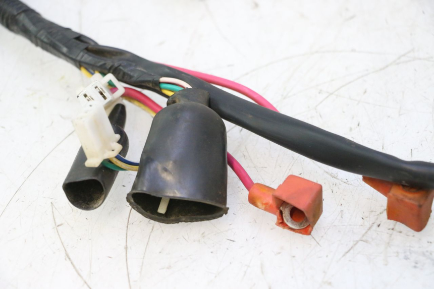 photo de CABLEADO TNT MOTOR ROMA 12' 2T 50 (2007 - 2018) - Foto de producto adicional