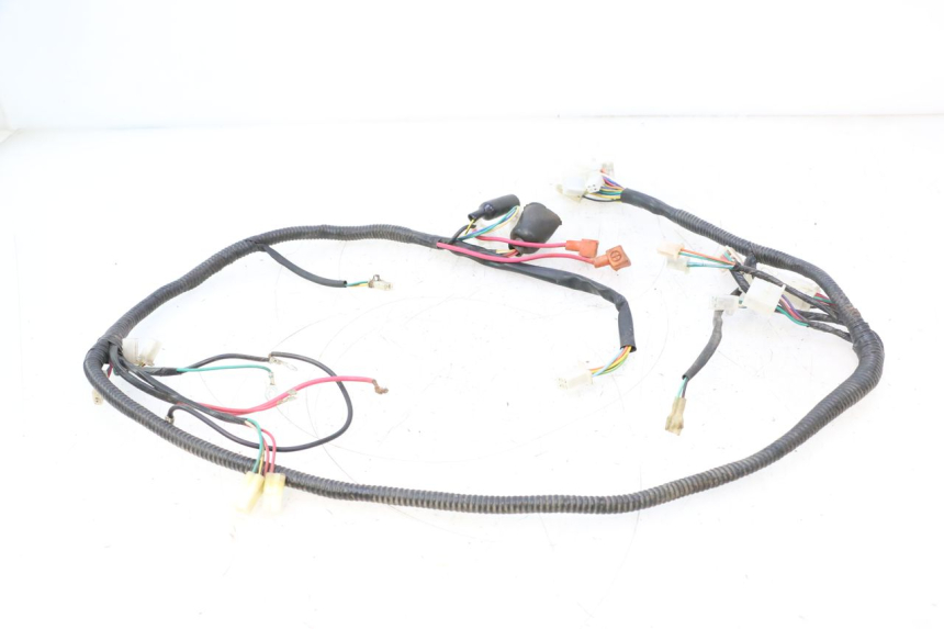 photo de CABLEADO TNT MOTOR ROMA 12' 2T 50 (2007 - 2018) - Otra perspectiva