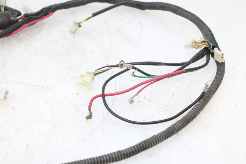 photo de CABLEADO TNT MOTOR ROMA 12' 2T 50 (2007 - 2018) - Marcados y referencias originales