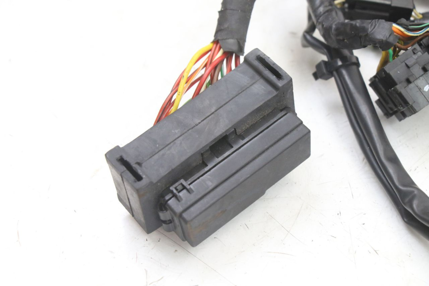 photo de CABLEADO ROYAL ENFIELD HYMALAYAN 410 (2016 - 2023) - Zoom estado de uso