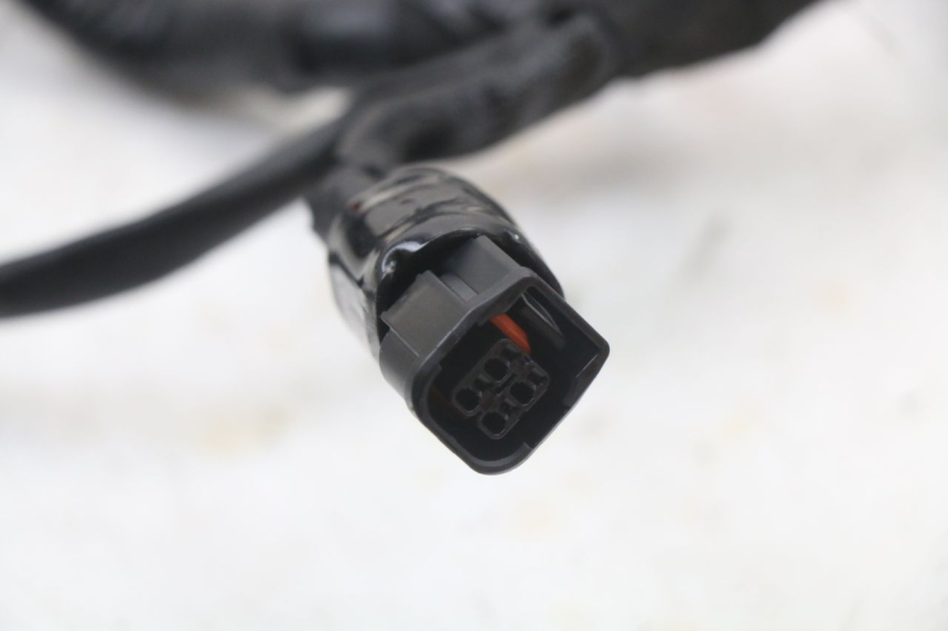 photo de CABLEADO ROYAL ENFIELD SCRAM 411 (2022 - 2024) - Primer plano de alta resolución