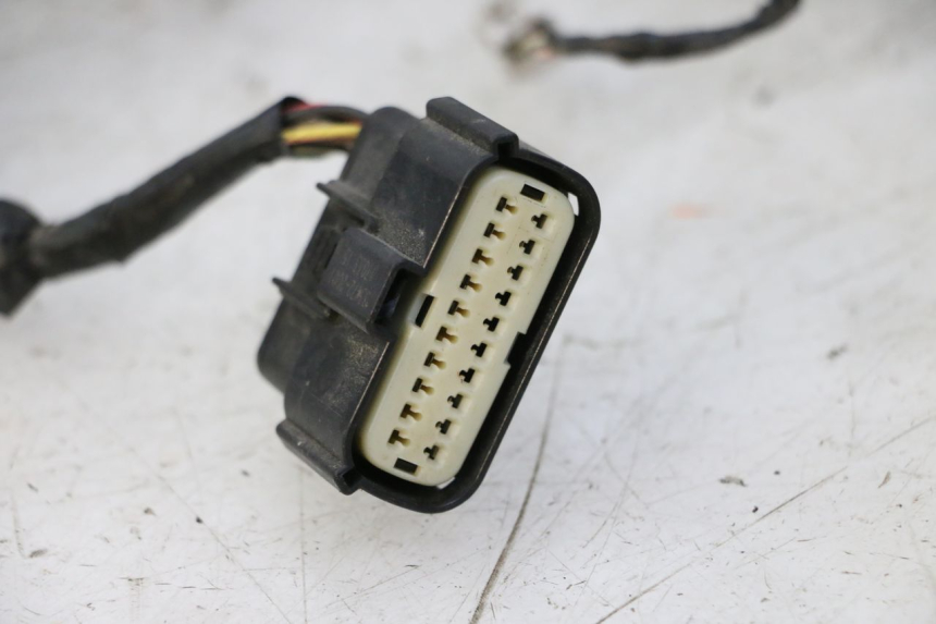 photo de CABLEADO GILERA RUNNER SP 50 (2009 - 2017) - Otra vista del artículo