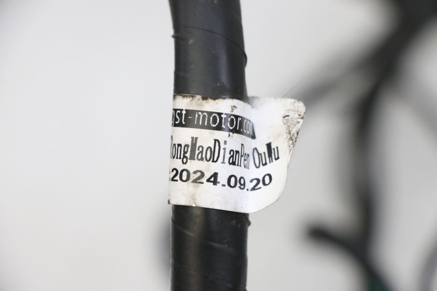 photo de CABLEADO JM MOTORS SANTANA EVO 50 (2024 - 2026) - Otra perspectiva