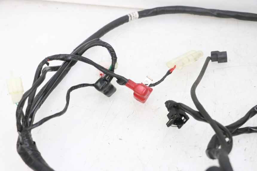 photo de CABLEADO JM MOTORS SANTANA EVO 50 (2024 - 2026) - Recambio usado revisado