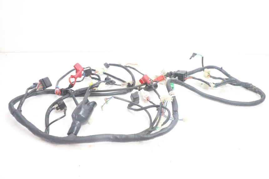 photo de CABLEADO JM MOTORS SANTANA EVO 50 (2024 - 2026) - Vista principal
