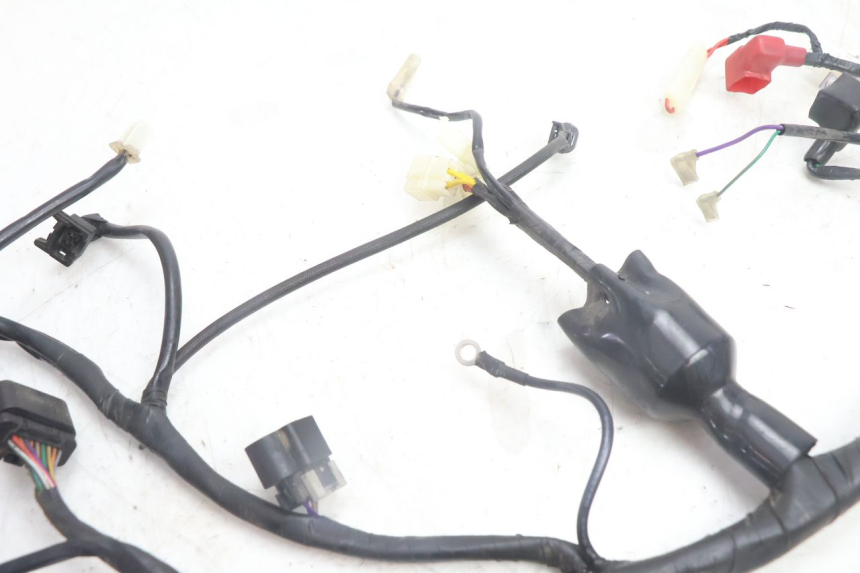 photo de CABLEADO JM MOTORS SANTANA EVO 50 (2024 - 2026) - Zoom estado de uso