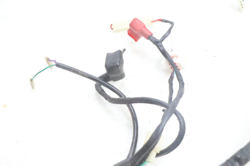 photo de CABLEADO JM MOTORS SANTANA EVO 50 (2024 - 2026) - Otra perspectiva