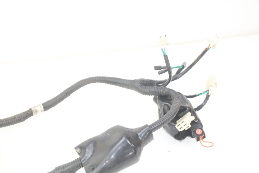 photo de CABLEADO JM MOTORS SANTANA 50 (2014 - 2023) - Primer plano técnico