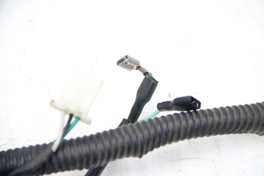 photo de CABLEADO JM MOTORS SANTANA 50 (2014 - 2023) - Detalle de la pieza