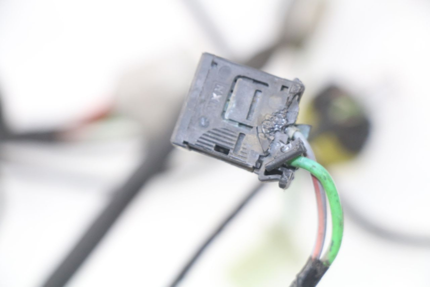 photo de CABLEADO PEUGEOT SATELIS 300 (2012 - 2015) - Primer plano técnico