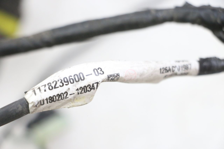 photo de CABLEADO PEUGEOT SATELIS 125 (2013 - 2018) - Zoom estado de uso