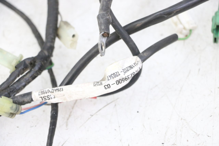 photo de CABLEADO PEUGEOT SATELIS 125 (2013 - 2018) - Detalles de los puntos de fijación