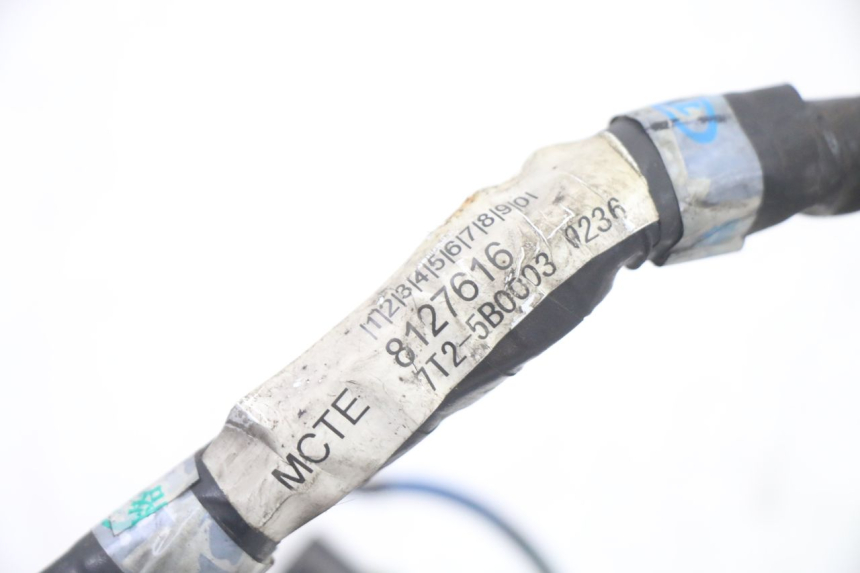 photo de CABLEADO APRILIA SCARABEO GT TOURING 125 (1999 - 2005) - Detalle de la pieza