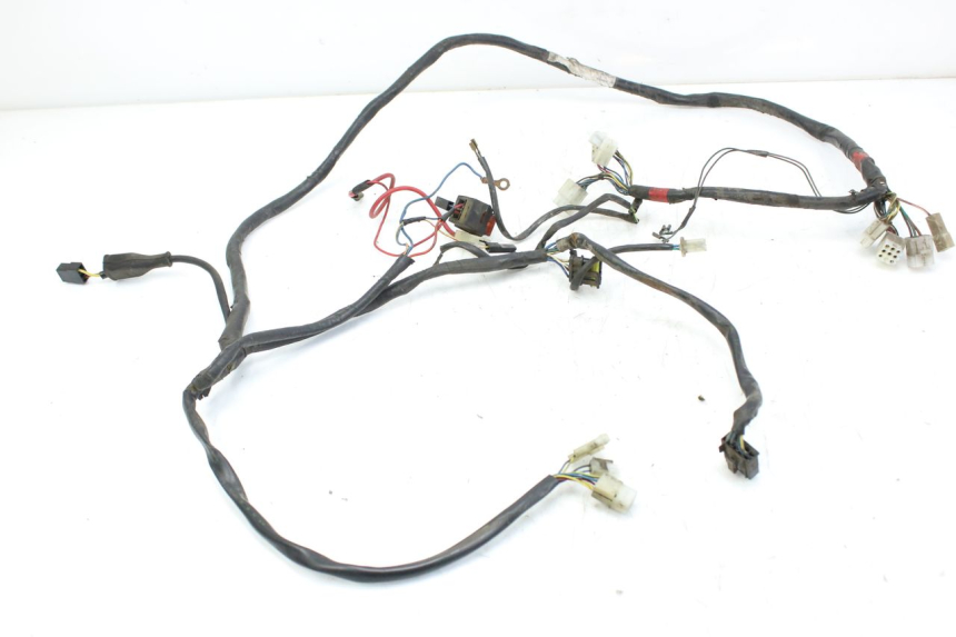photo de CABLEADO APRILIA SCARABEO 100 (2003 - 2012) - Vista principal