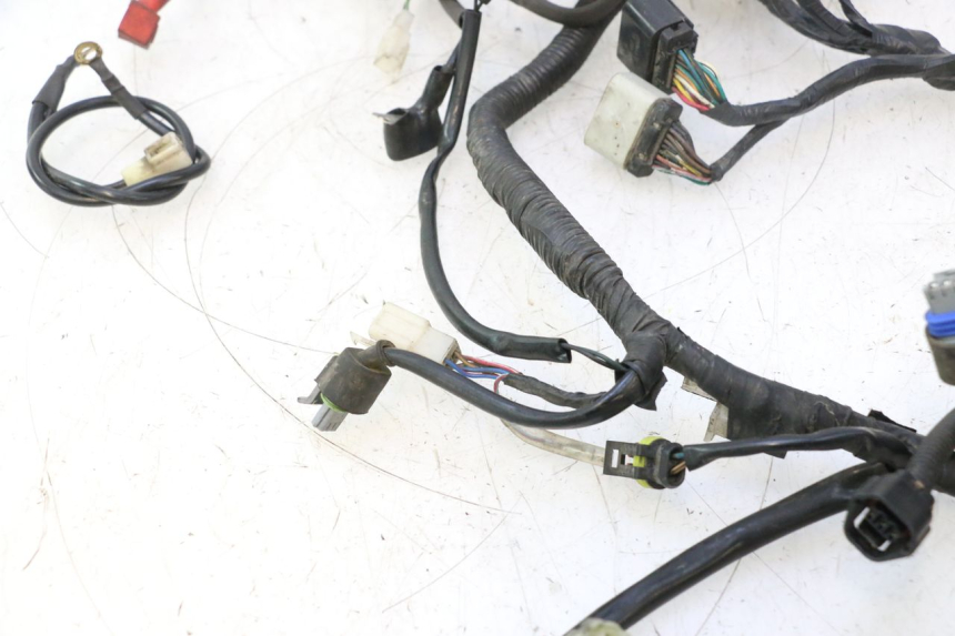 photo de CABLEADO MASH SEVENTY FIVE 125 (2013 - 2021) - Primer plano técnico