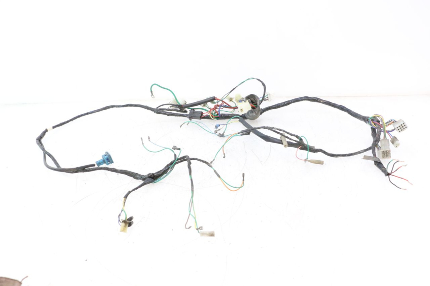 photo de CABLEADO PEUGEOT SPEEDFIGHT LC 50 (1996 - 2002) - Vista principal