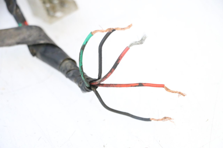 photo de CABLEADO PEUGEOT SPEEDFIGHT LC 50 (1996 - 2002) - Marcados y referencias originales
