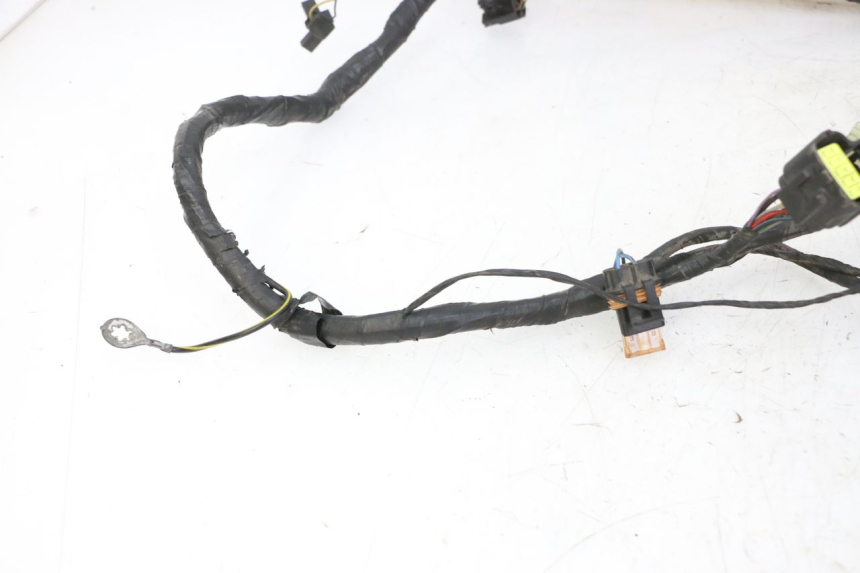 photo de CABLEADO TRIUMPH SPRINT 900 (1995 - 1998) - Zoom sobre los componentes