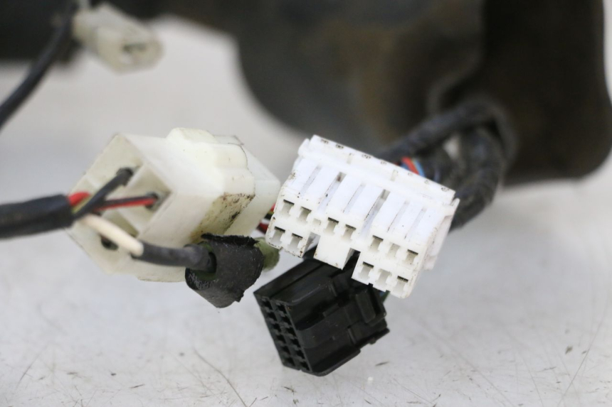 photo de CABLEADO TRIUMPH SPRINT 900 (1995 - 1998) - Enfoque en la estructura