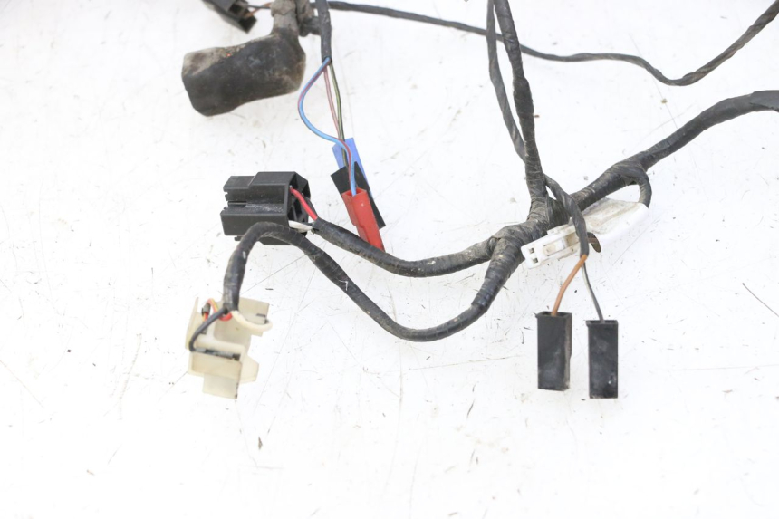 photo de CABLEADO TRIUMPH SPRINT 900 (1995 - 1998) - Ángulo de visión alternativo
