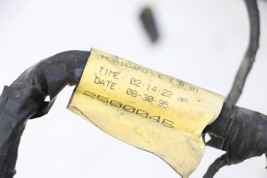 photo de CABLEADO TRIUMPH SPRINT 900 (1995 - 1998) - Otra perspectiva