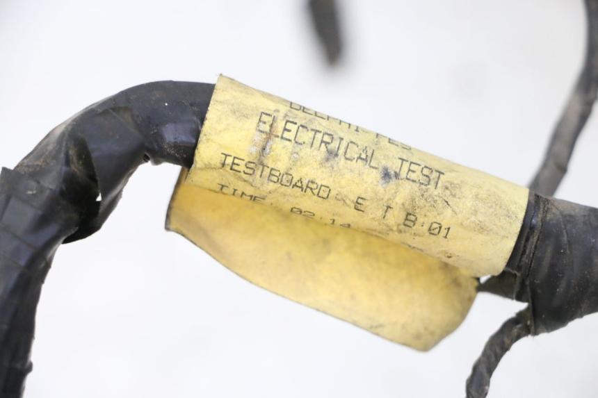 photo de CABLEADO TRIUMPH SPRINT 900 (1995 - 1998) - Primer plano técnico