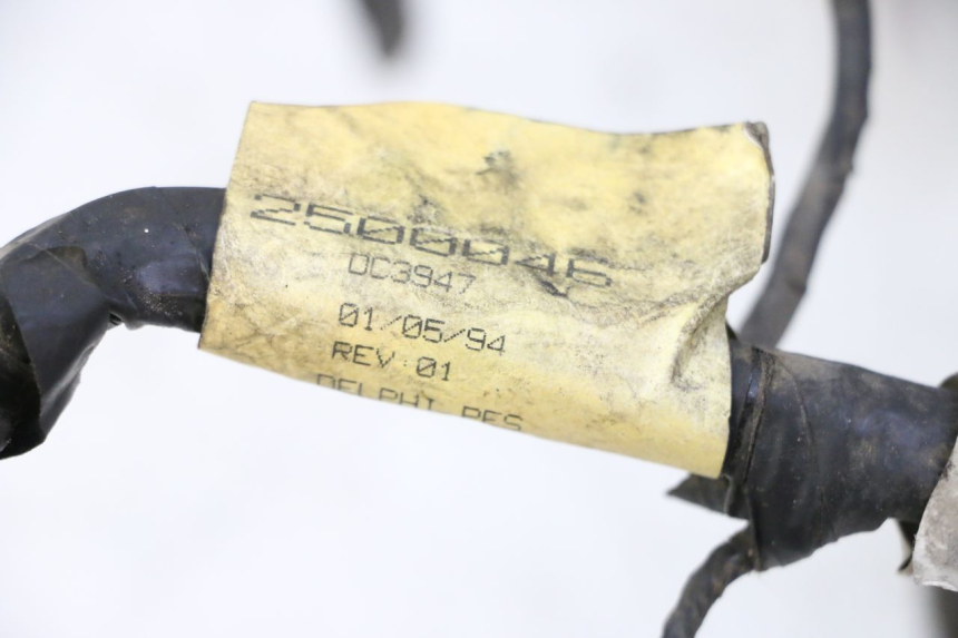 photo de CABLEADO TRIUMPH SPRINT 900 (1995 - 1998) - Vista general del producto