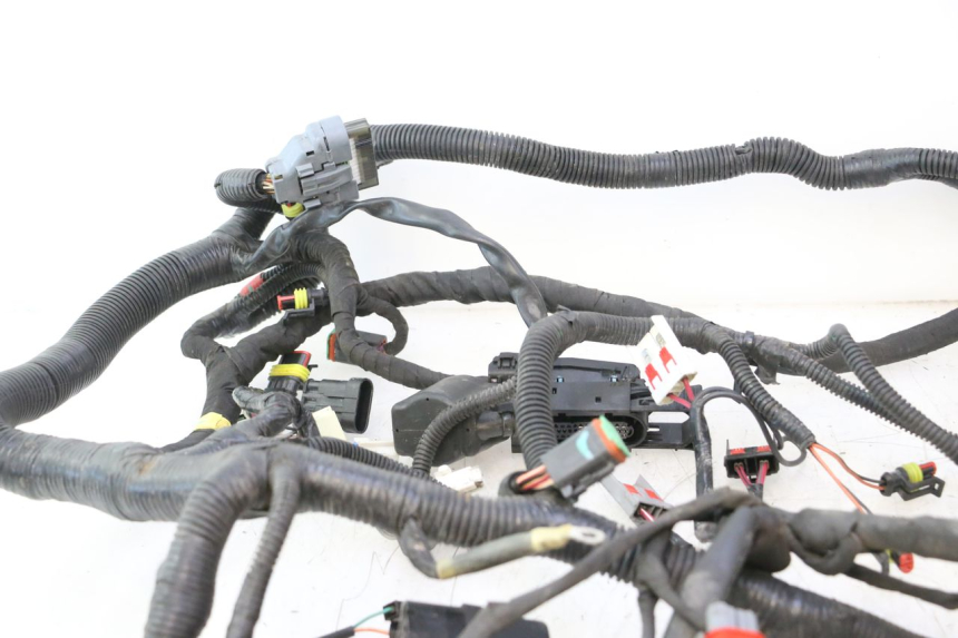 photo de CABLEADO CAN-AM SPYDER RS 1000 (2008 - 2012) - Zoom sobre los componentes