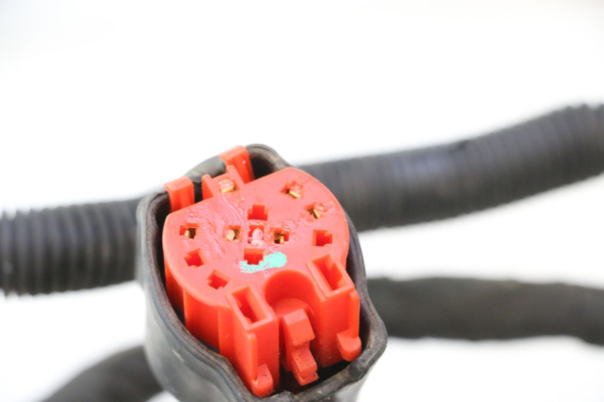 photo de CABLEADO CAN-AM SPYDER RS 1000 (2008 - 2012) - Marcados y referencias originales