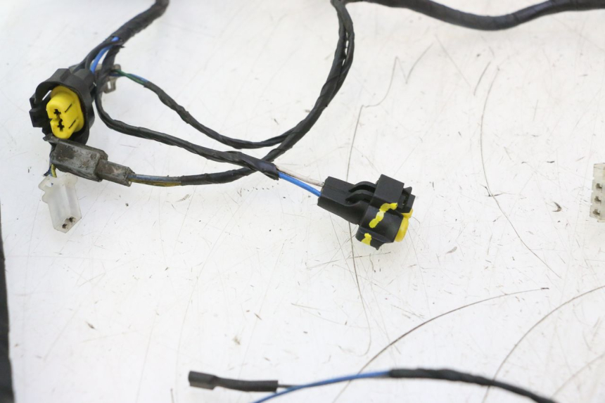 photo de CABLEADO APRILIA SR 2T 50 (2012 - 2017) - Zoom sobre los componentes